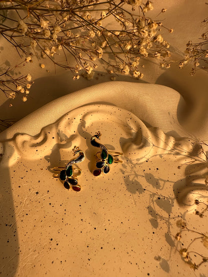 Dastaan Earcuffs
